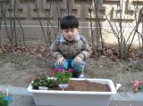 식목일 행사 모종심기